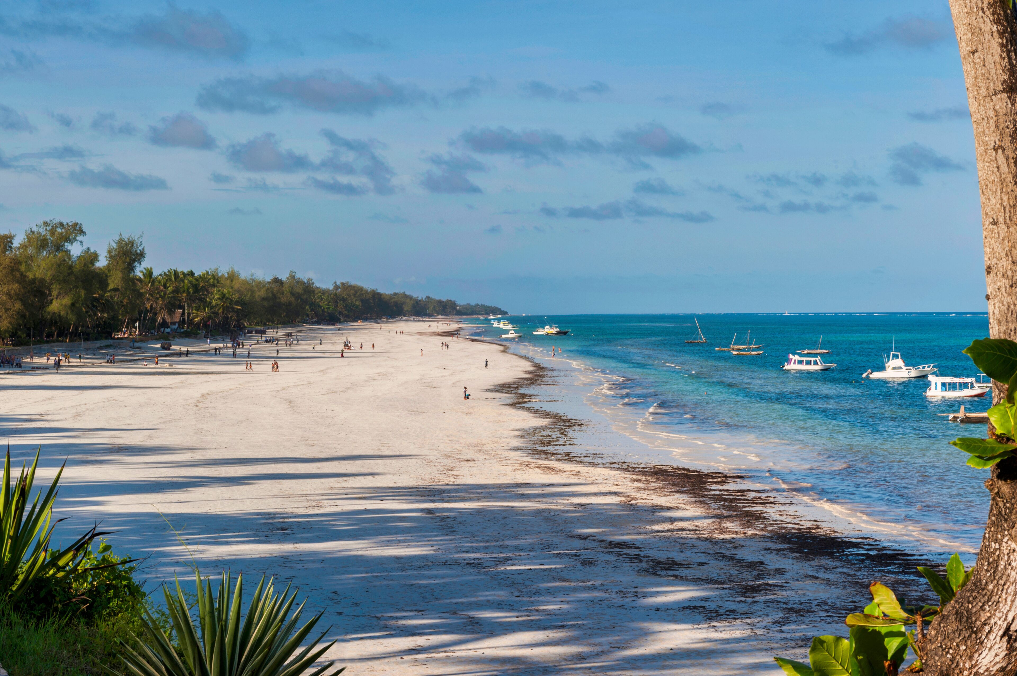 DIani Beach near Mombasa in Kenya