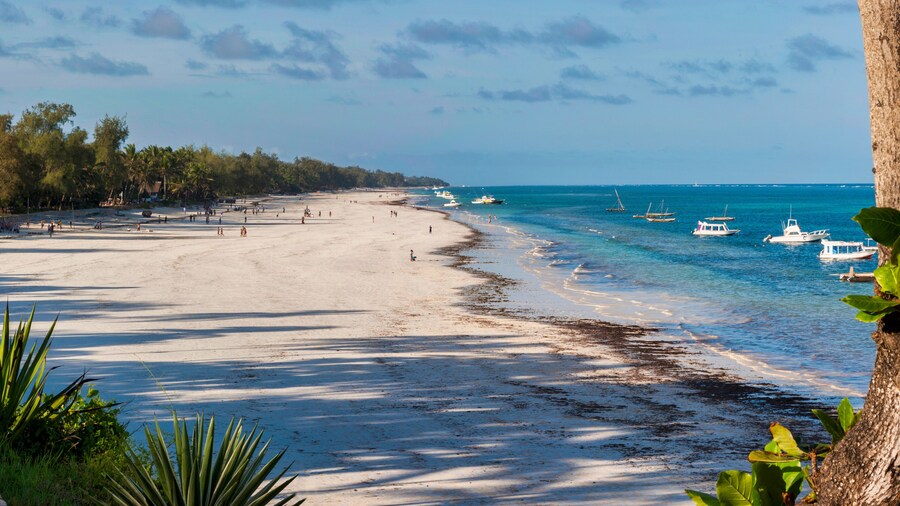 DIani Beach near Mombasa in Kenya