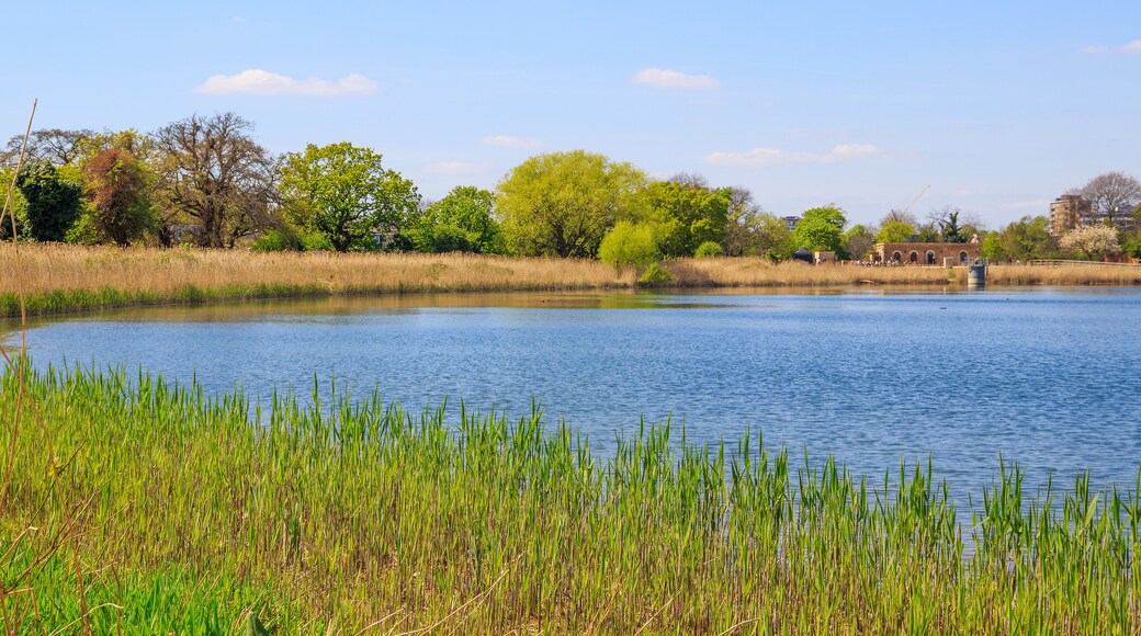 Woodberry Wetland in London