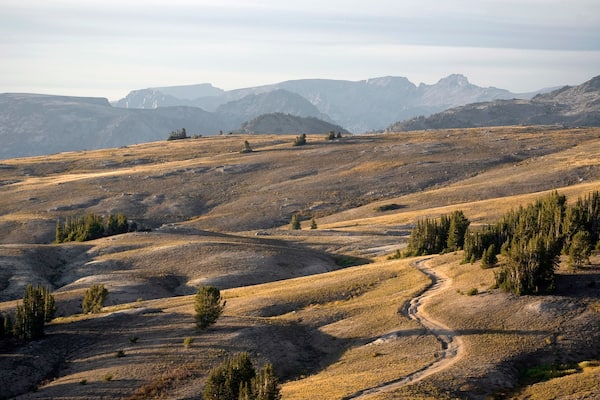 near lulu pass in montana