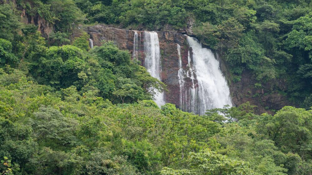 A waterfall cascading down a rocky cliff surrounded by dense green foliage.