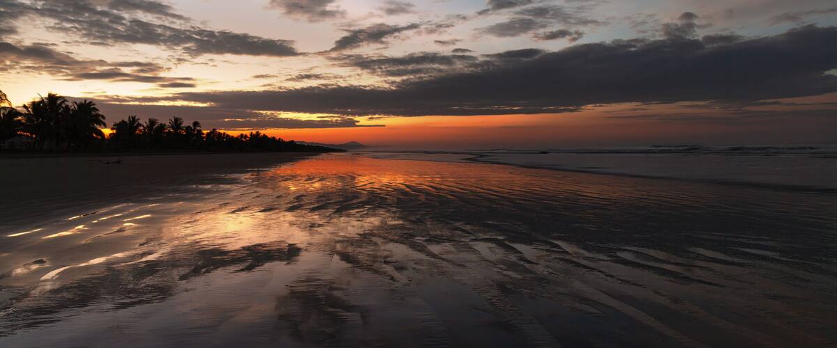 A beach at sunset with a calm sea and a line of palm trees in the distance.