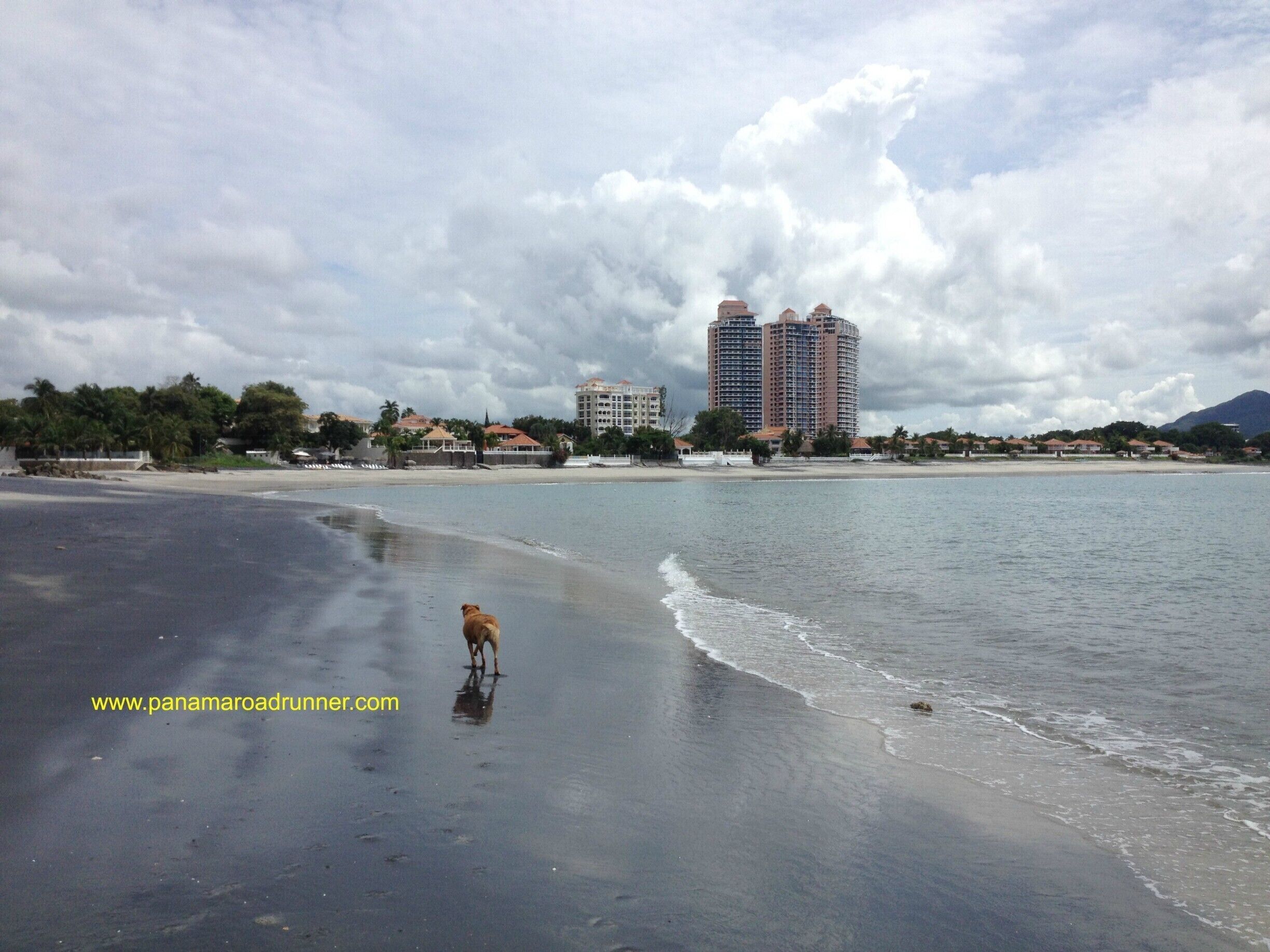 The beautiful black sand beaches of Coronado - the pink towers in the background are the Coronado Country Club where many North Americans rent condo's for the winter months which is our hot and dry season!  www.panamarodarunner.com