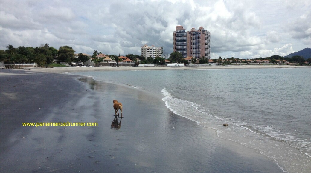 The beautiful black sand beaches of Coronado - the pink towers in the background are the Coronado Country Club where many North Americans rent condo's for the winter months which is our hot and dry season! www.panamarodarunner.com