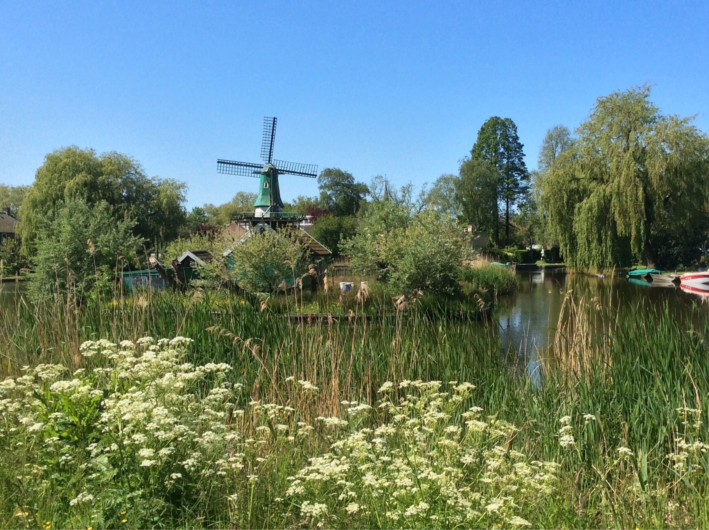 A windmill, a pond, and surrounding greenery.