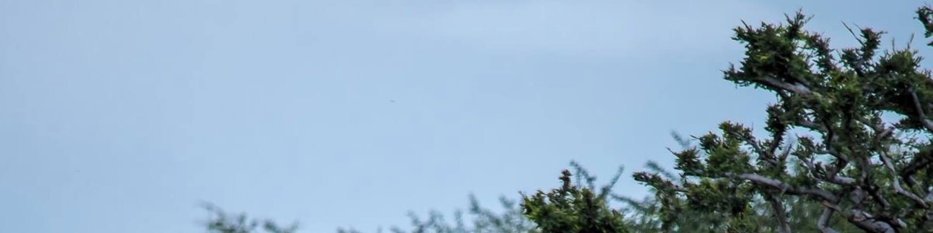 "3 Little Birds" sang Bob Marley.
Mt. Etjo is a private game reserve in northern Namibia en route to Etosha N.P.. It is a vast reserve and the game drive is worth the money. They also offer very pleasant camping spots with on site private bathrooms.