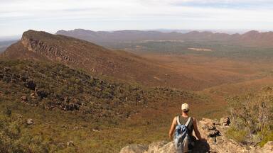 flinders ranges, south australia