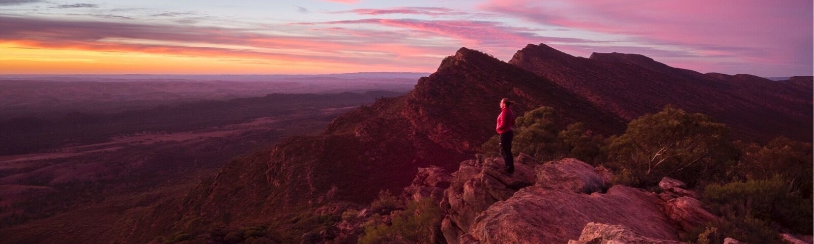 If you’re heading to the Australian outback make sure you check out the Flinders Ranges in South Australia (5 hours drive from Adelaide!) I hiked in Wilpena Pound and even did a sunrise hike up Mount Ohlssen-Bagge to capture this. 💗💗