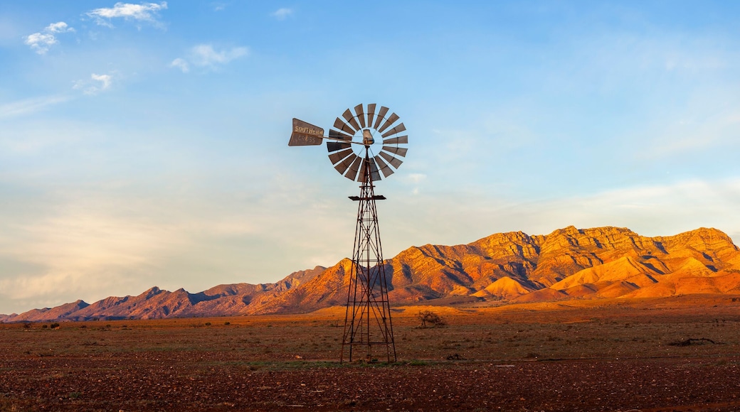 A windmill with the Flinders Ranges behind it in the Australian outback. Flinders Ranges National Park, South Australia, Australia.