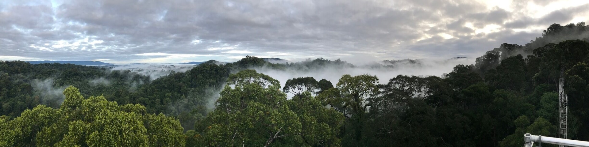 Watching the skies clear and the mist settle in Uluulu National Park, Temburong