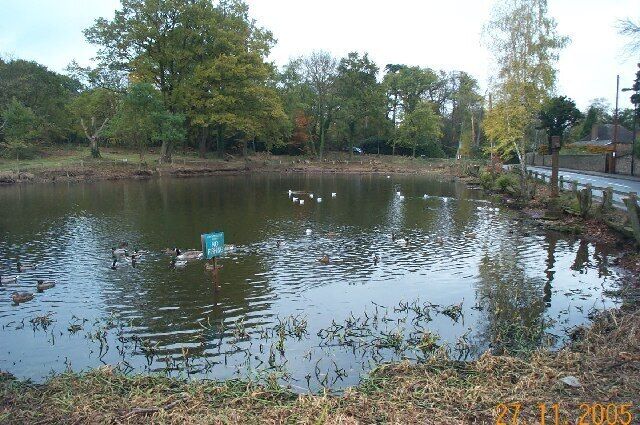 Stanmore: Spring Pond, Little Common. A lot of the trees around the pond have recently been removed to eliminate an algae infestation. Viewed looking eastwards with Wood Lane on the right, this pond is one of four on Stanmore Hill.