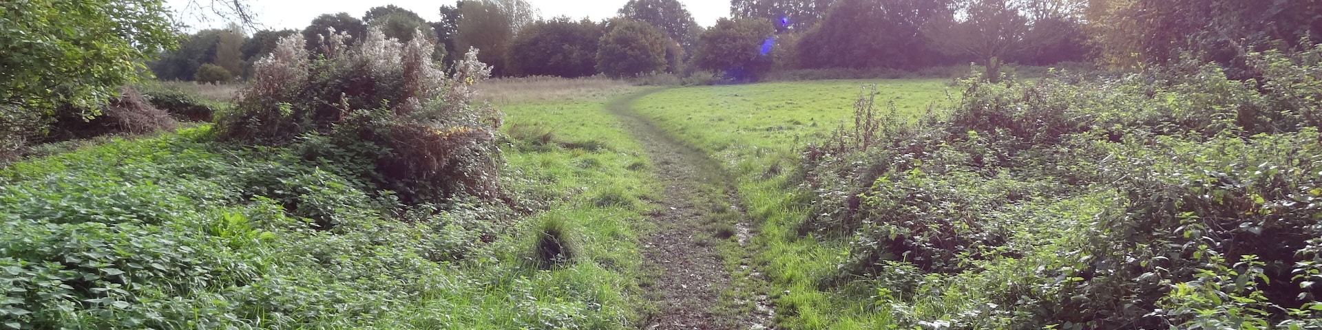 Cranham Marsh, Cranham, Havering, London