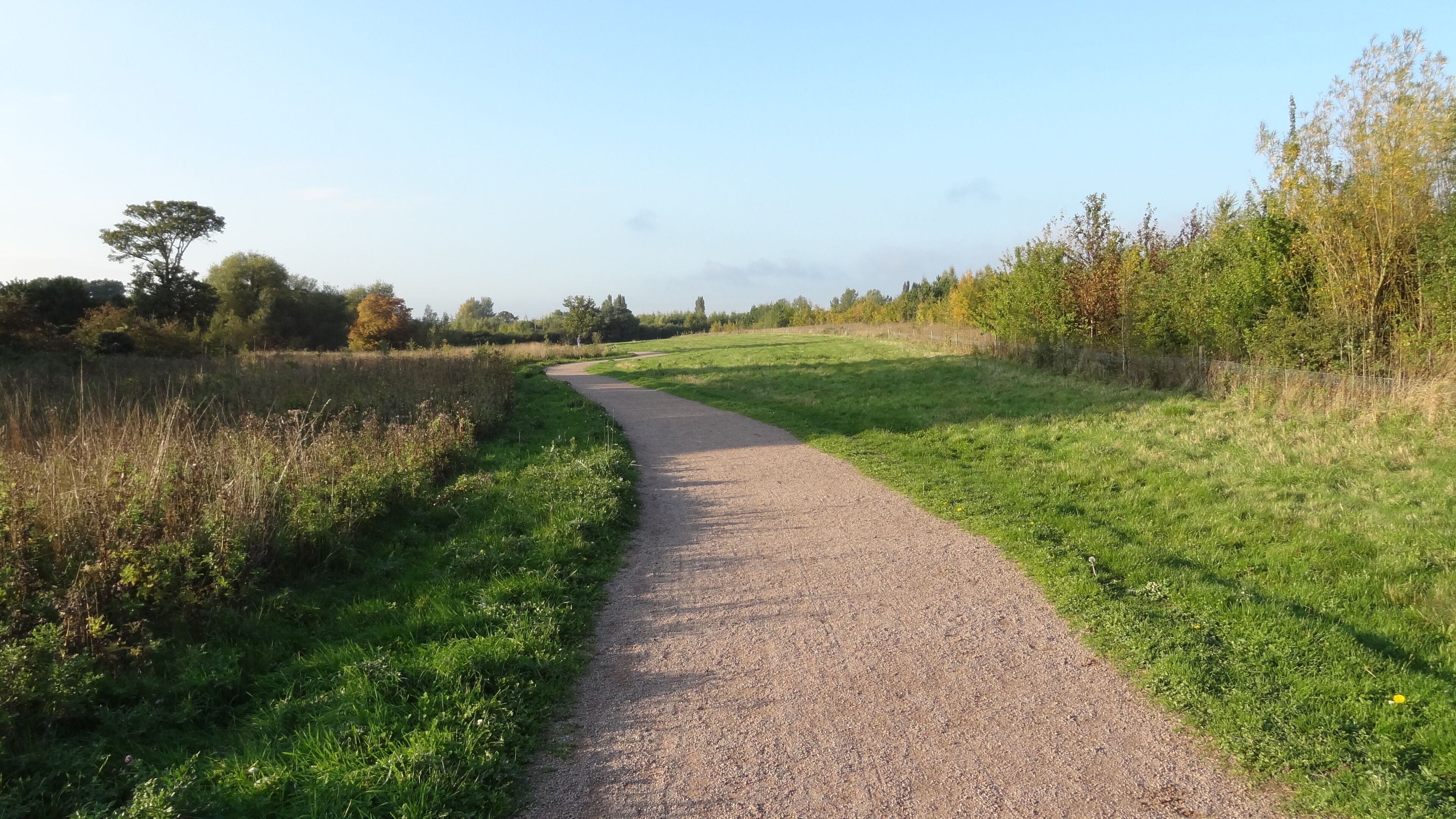 Pages Wood, a Forestry Commission Wood in the London Borough of havering