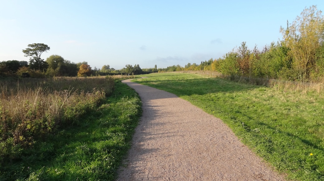 Pages Wood, a Forestry Commission Wood in the London Borough of havering