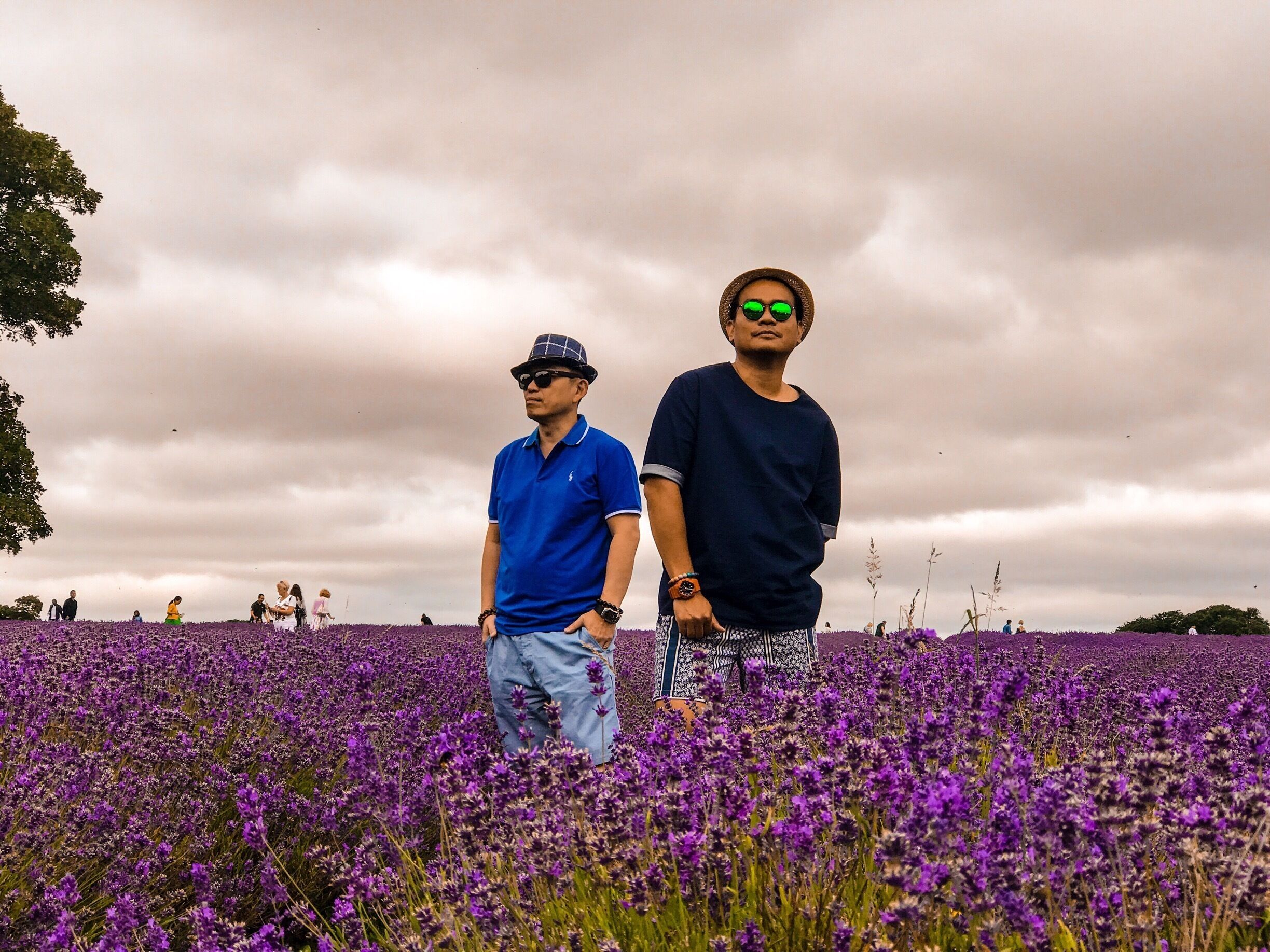 The beautiful field of Mayfield lavender in Banstead. A must see when you visit England on summer time. 