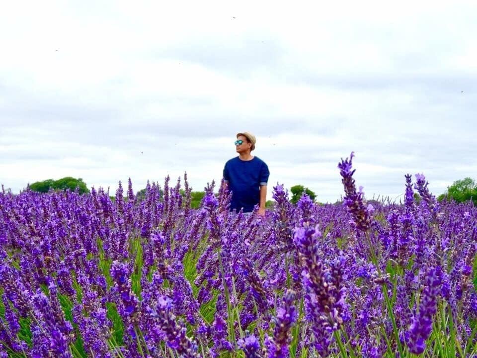 Having a lovely time at the lavender fields. 