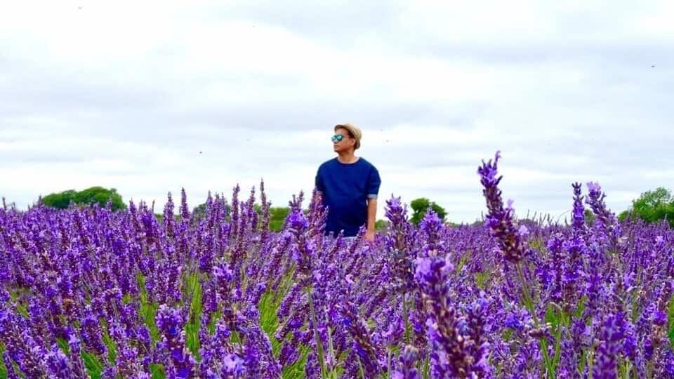 Having a lovely time at the lavender fields.