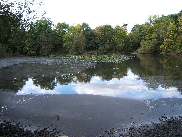 Upper Pond, Ashtead Park.