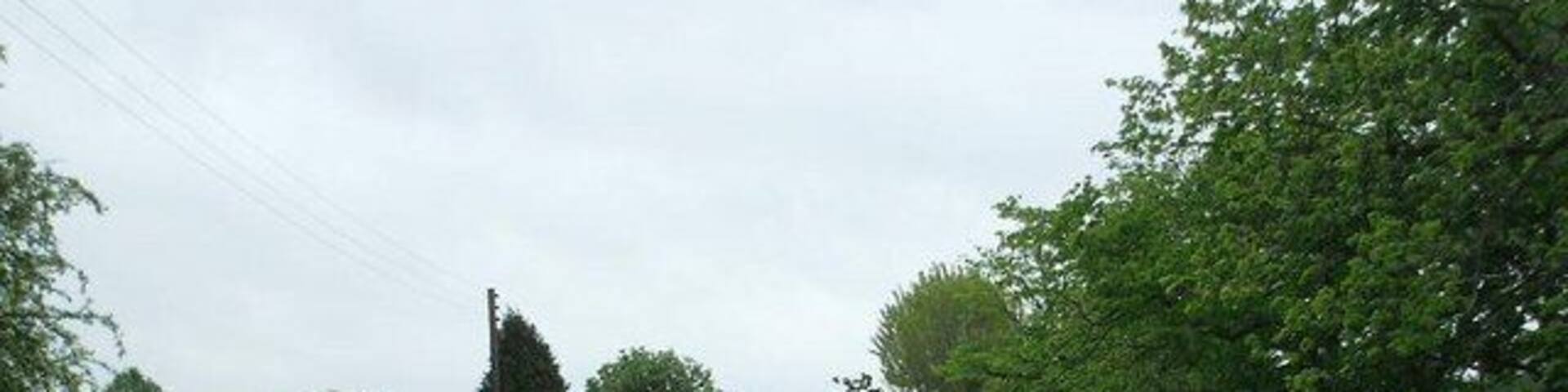 Ashtead Woods Road Private road near Ashtead Common. Low density mixture of large houses, bungalows and grazing.