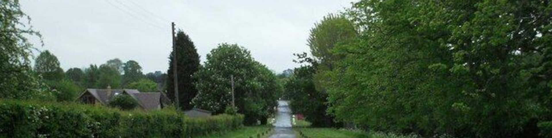 Ashtead Woods Road Private road near Ashtead Common. Low density mixture of large houses, bungalows and grazing.