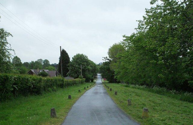 A rural road flanked by greenery and houses.