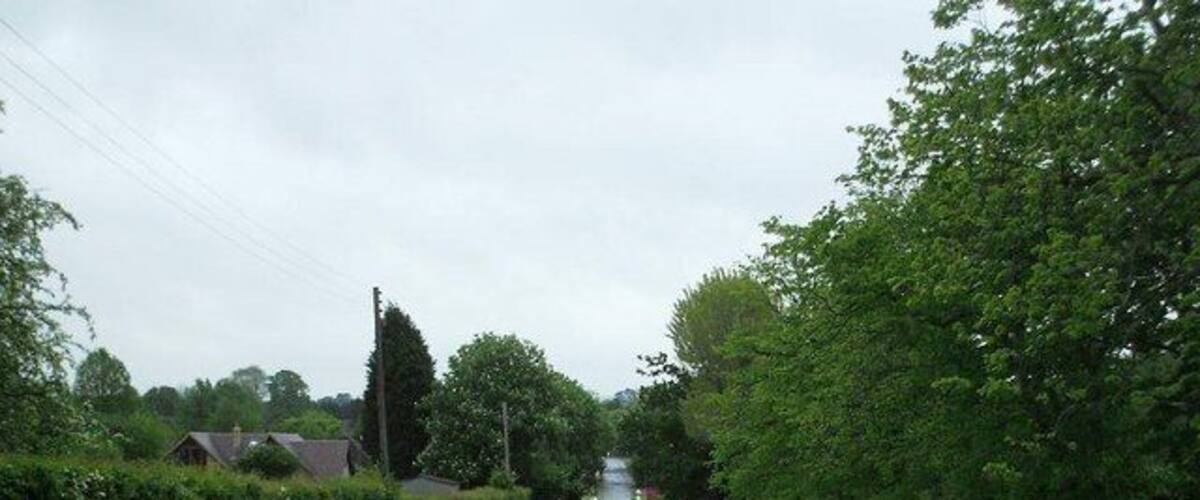 A rural road flanked by greenery and houses.