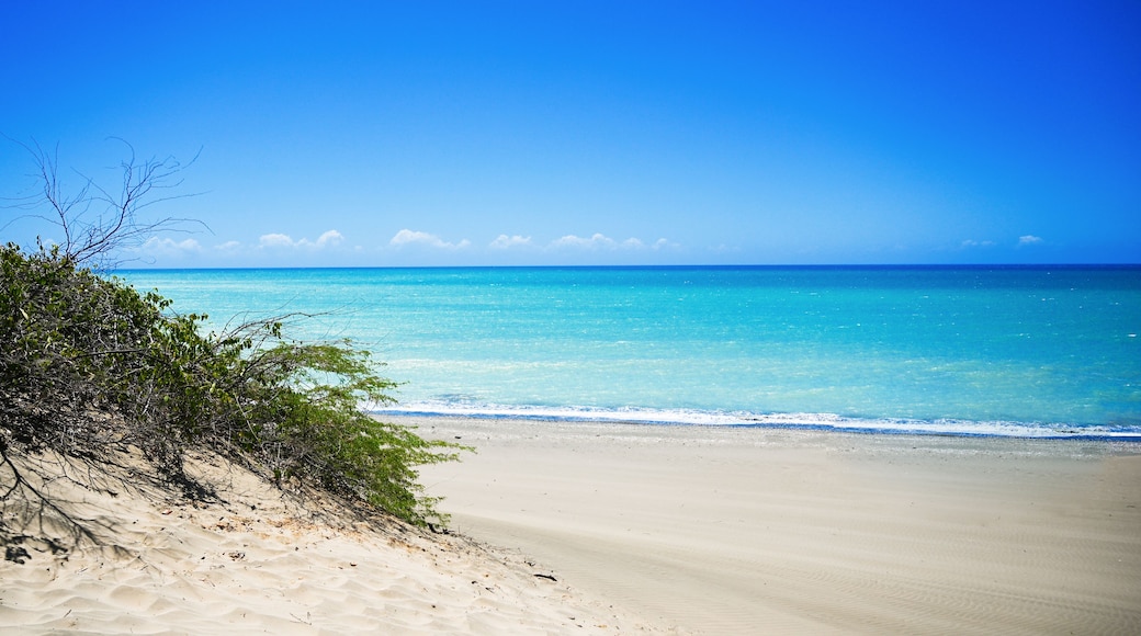 Desert landscape with sea near in Domican republic. Las Salinas, dunes. Travelling destination.Going on a tour