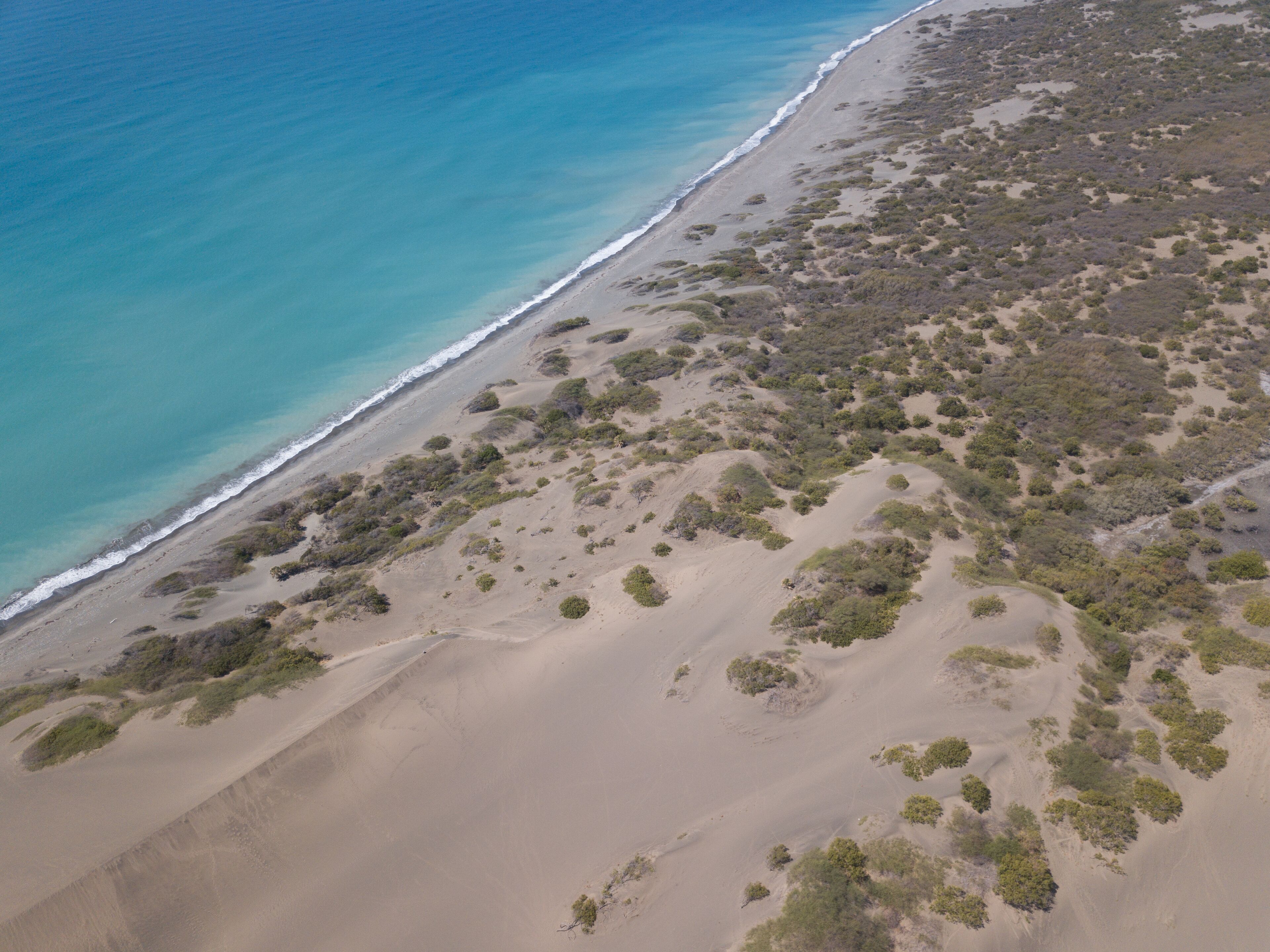 A coastal landscape with a sandy beach, dunes, and sparse vegetation.