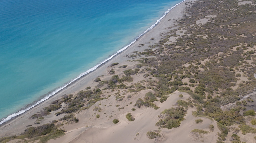 A coastal landscape with a sandy beach, dunes, and sparse vegetation.