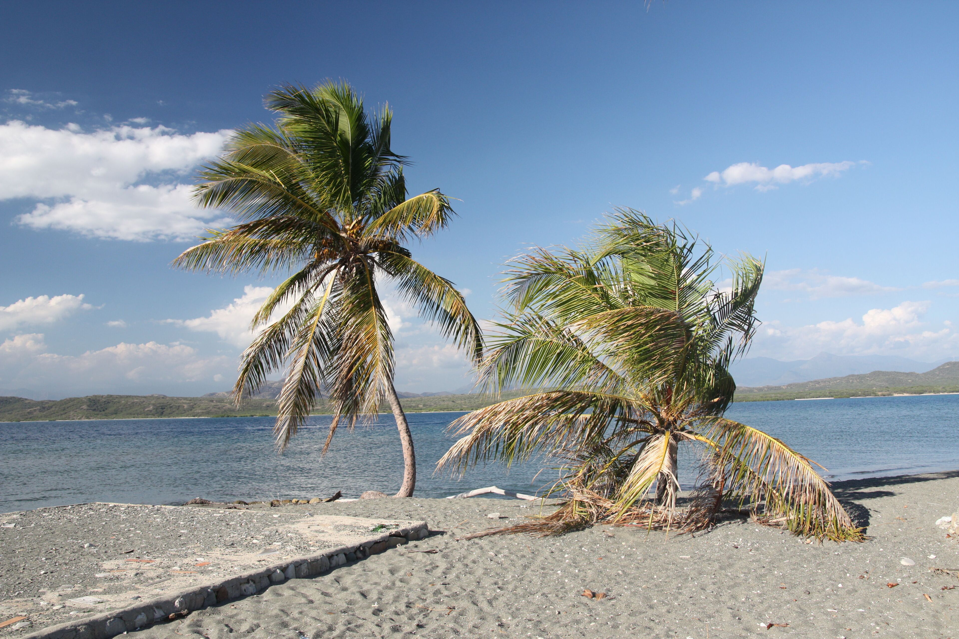 République Dominicaine - Les palmiers de las salinas