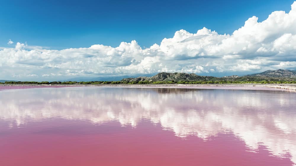 Pink water salt lake in Dominican Republic