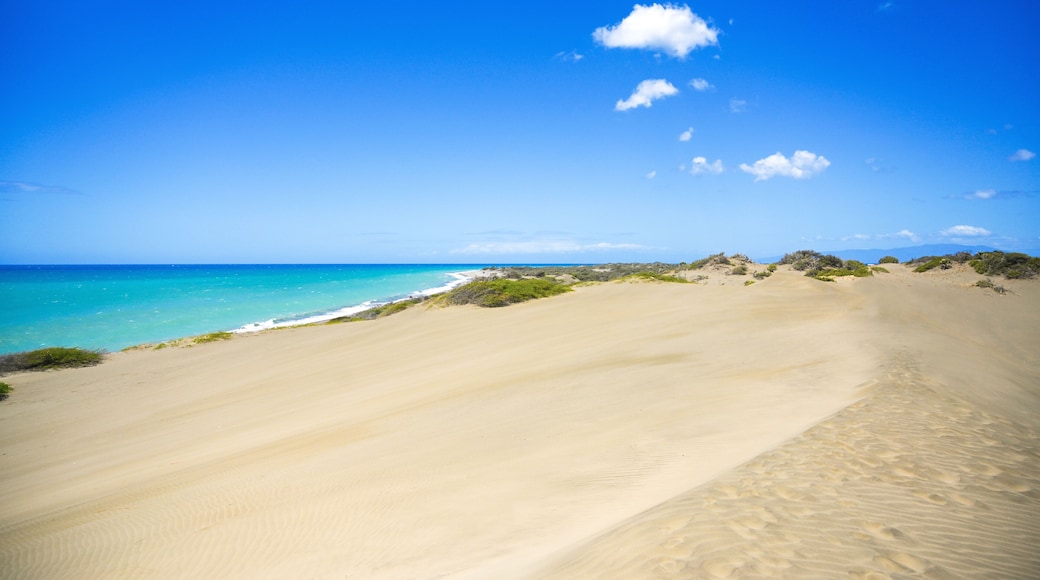 Desert landscape with sea near in Domican republic. Las Salinas, dunes. Travelling destination.