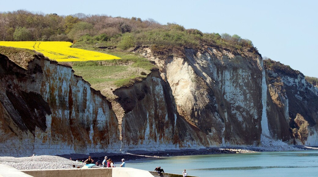 Falaises à Pourville-sur-mer, en Pays de Caux (Seine-Maritime, France)