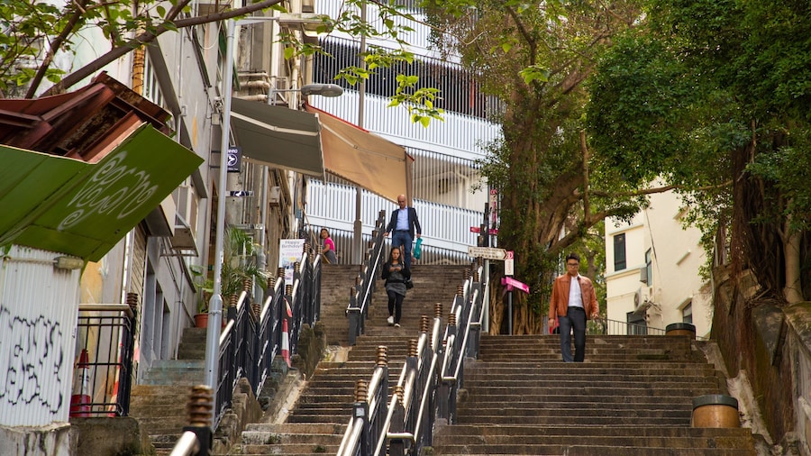 Ladder Street showing street scenes