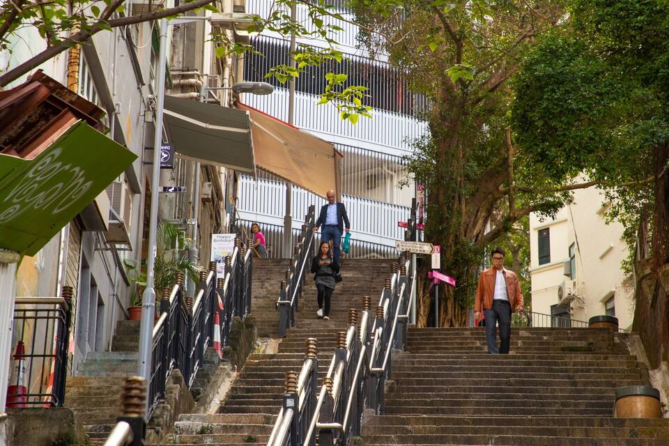 Una escalera en un callejón urbano estrecho con edificios a ambos lados, una barandilla de metal y un árbol a la derecha.