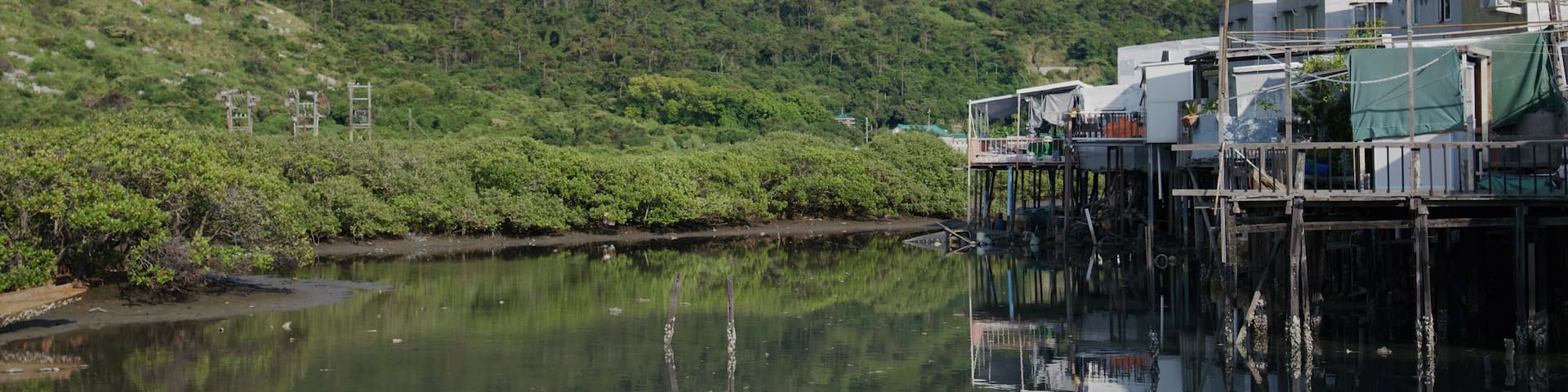 Hong Kong fishing village