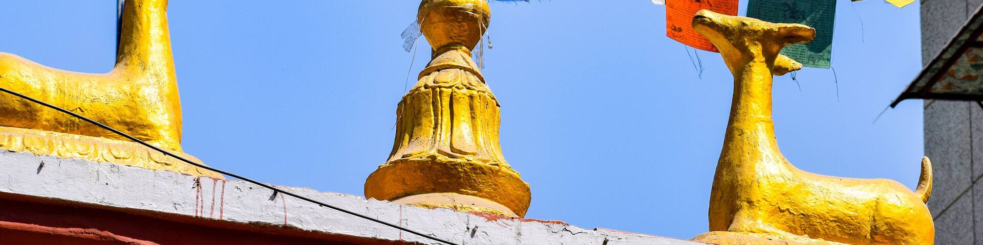 Buddhist temple located inside Majnu-ka-tilla, a colony also known as Delhi's mini Tibet, Temples and traditional Asian architecture
