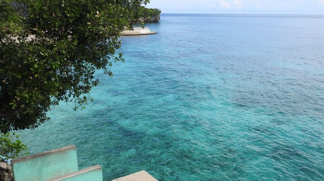 The eastern tip of Siquijor island you can find Salagdoong beach. This small beach encloses turqoise waters and diving platforms at different heights.
#nature #beach #diving #philippines
9 more Siquijor top spots here: https://www.geekyexplorer.com/must-visit-places-siquijor-island-philippines/
