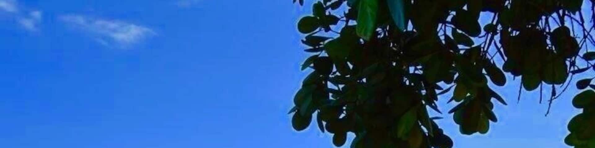 Cliff diving in siquijor