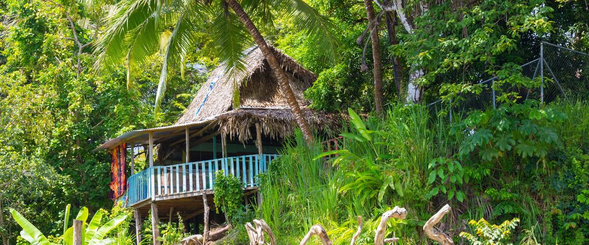 A thatched-roof house with a blue railing, surrounded by lush greenery and a wooden fence.