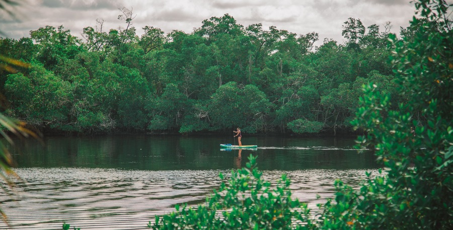 paddle boarding at Baker park in Naples Florida south west Florida public park