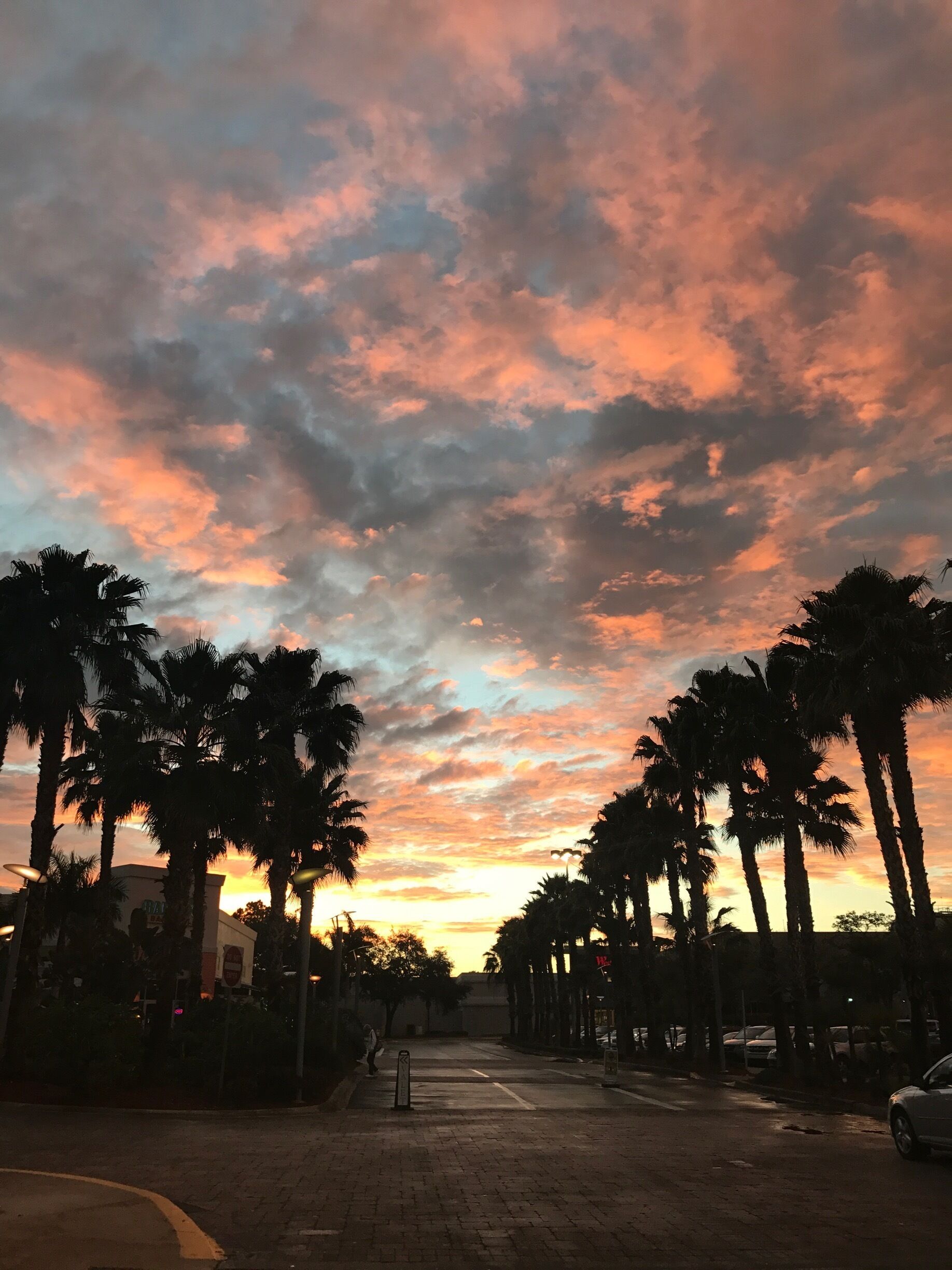 Sunset in Venice, FL