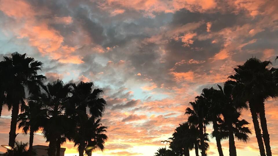 A sunset over a street lined with palm trees.