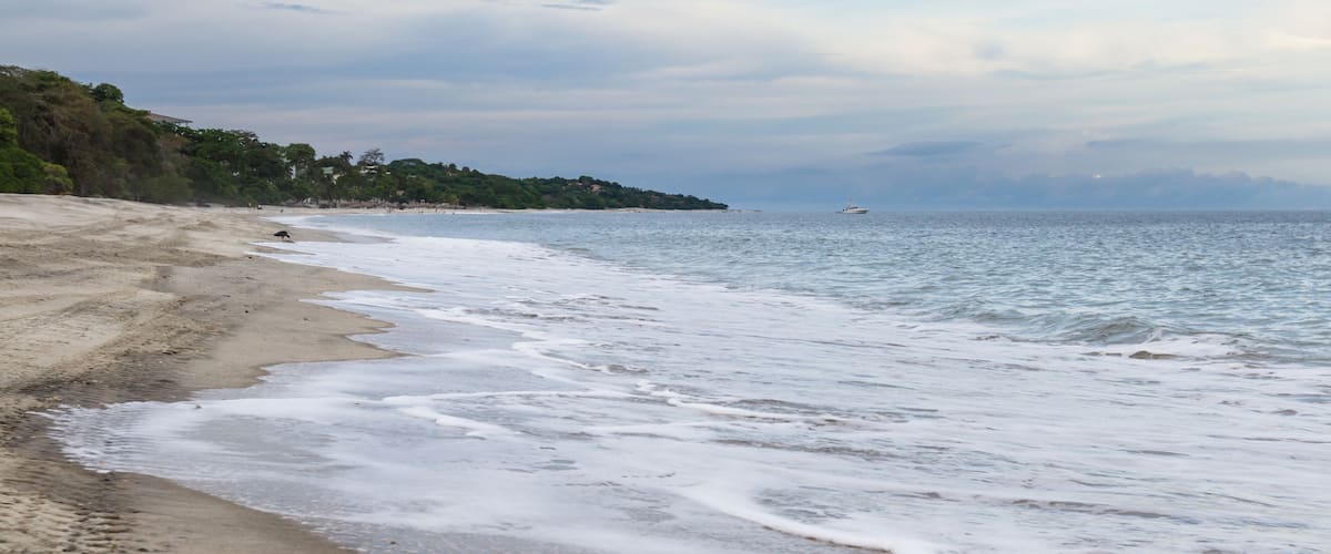 A beach with waves, a boat, and a forested hill in the background.