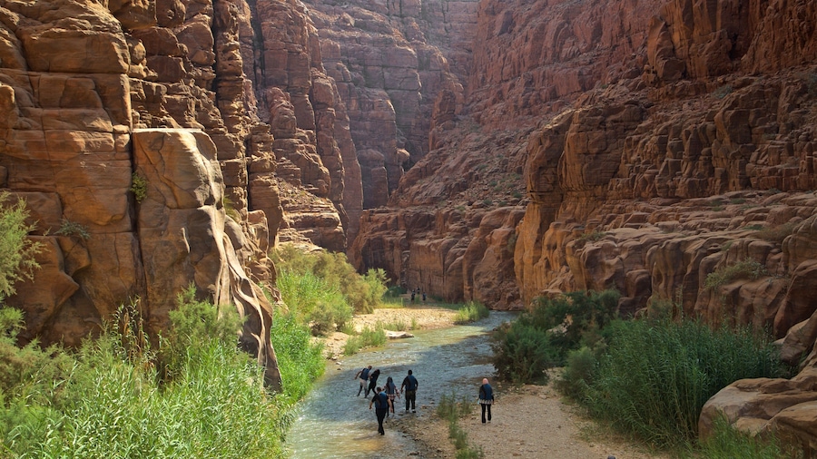 Réserve naturelle de Mujib qui includes riviÚre ou ruisseau et gorge ou canyon aussi bien que petit groupe de personnes