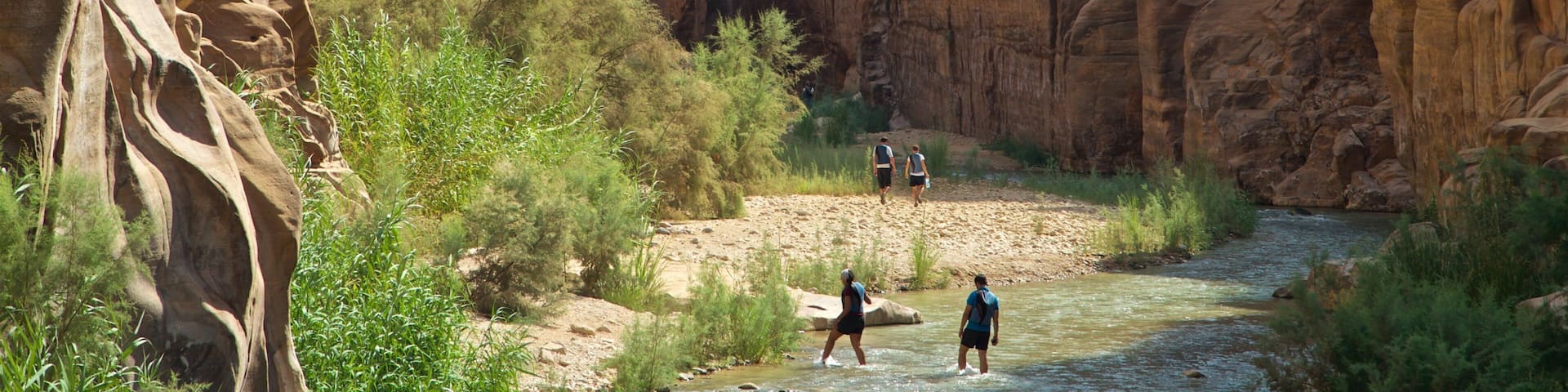 Mujib Nature Reserve showing a gorge or canyon and a river or creek as well as a small group of people