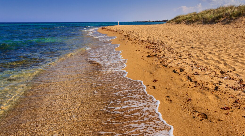 Parque natural regional Dune Costiere