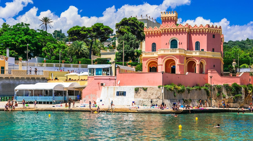 波尔图特里卡塞