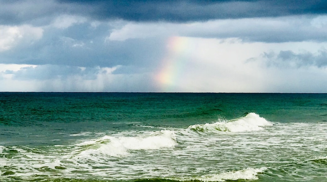 Rainbow after the storm.