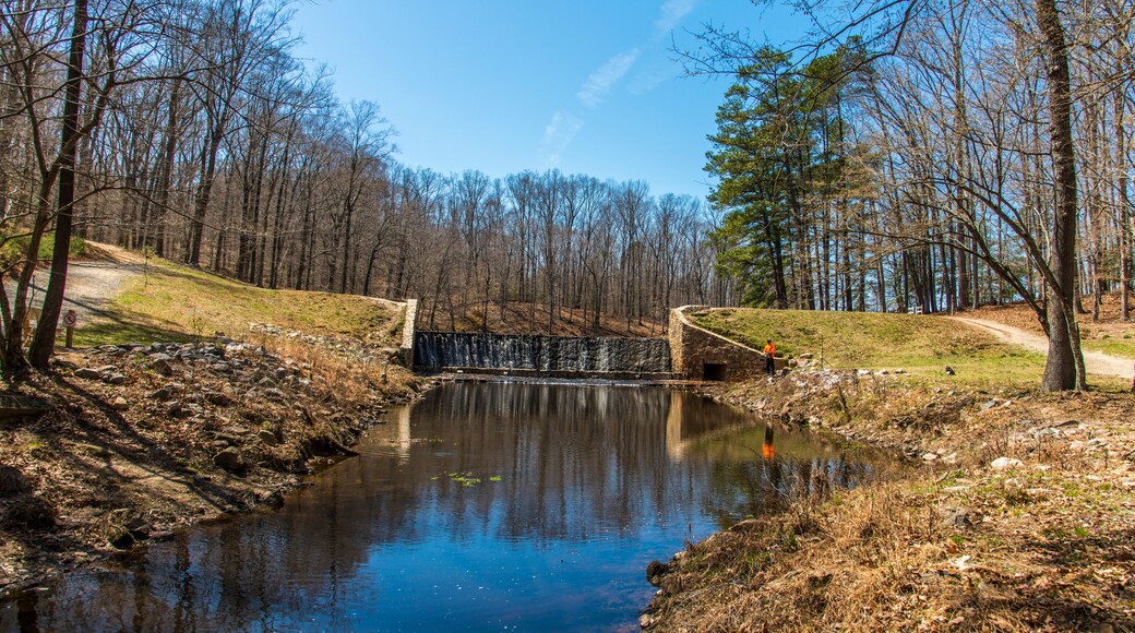 Dam and waterfall in Beaver lake, Pocahontas park